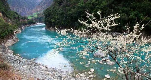win11自带浏览器怎么卸载
